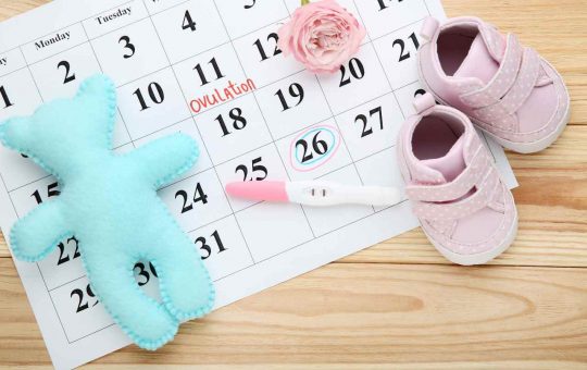 Calendario ovulazione - Fonte AdobeStock
