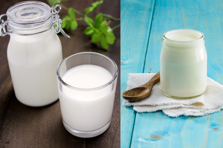 Latte e yogurt - Fonte AdobeStock