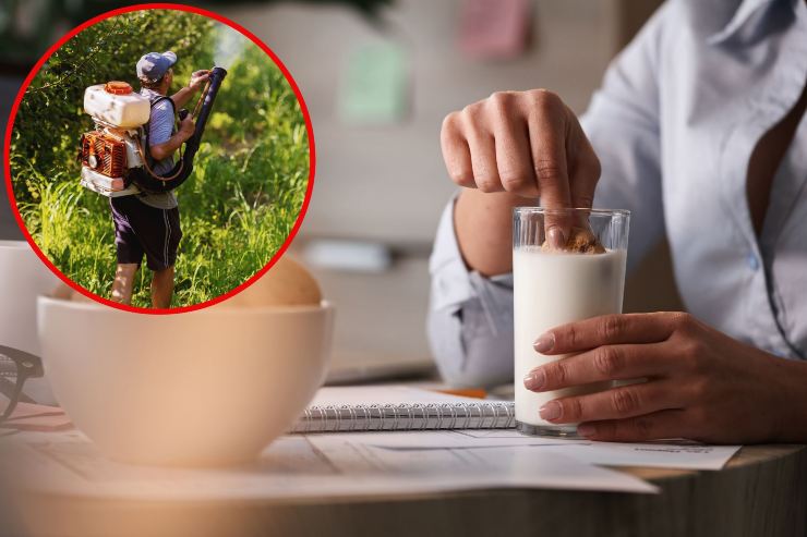 Pesticidi nei biscotti per la colazione - Fonte AdobeStock