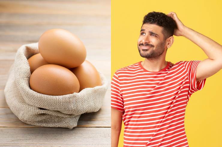 Provenienza uova - Fonte AdobeStock
