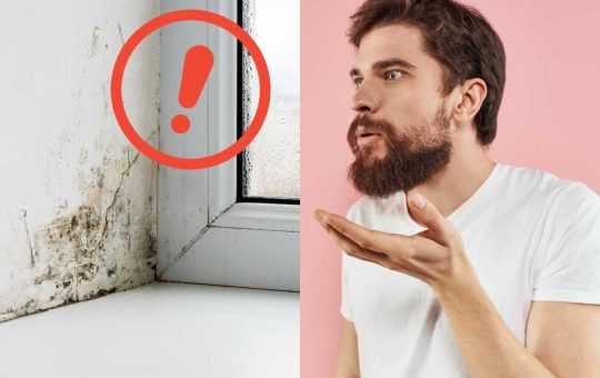 Umidità in casa e muffa - Fonte AdobeStock