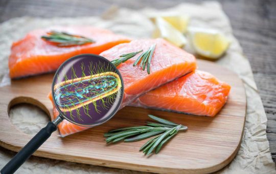 Listeria nel salmone - Fonte AdobeStock