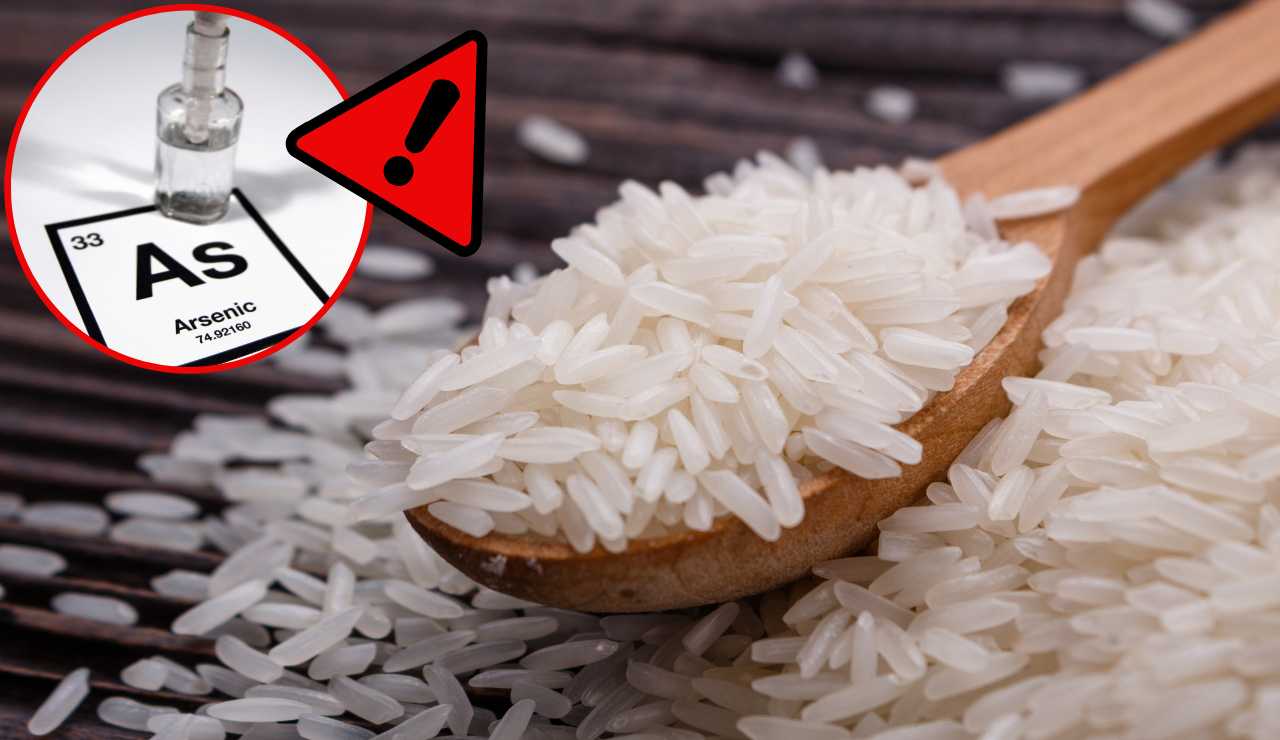 Arsenico nel riso - Fonte AdobeStock