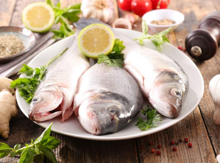 Conservare il pesce in frigo - Fonte AdobeStock