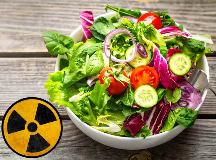 Rischio alimentare insalata - Fonte AdobeStock