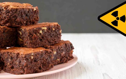 Allergeni nel brownies - Fonte AdobeStock