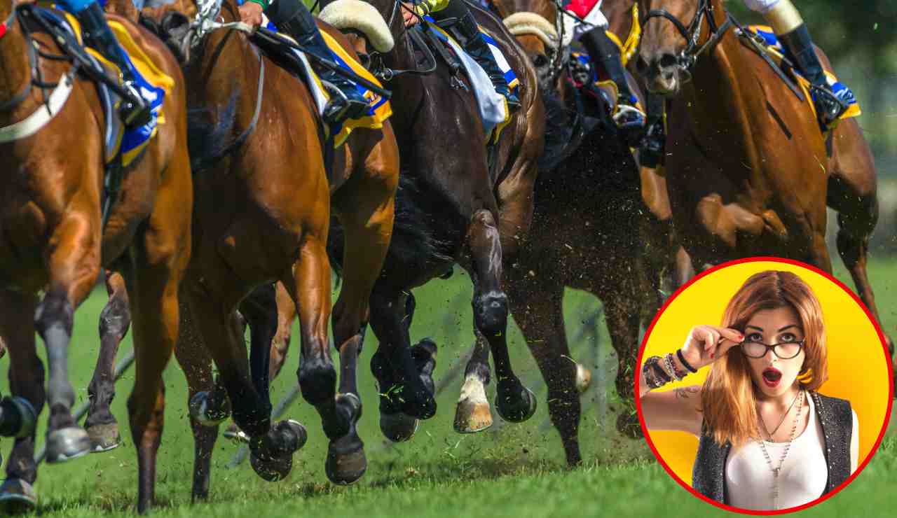 Cavallo più veloce del mondo - Fonte AdobeStock