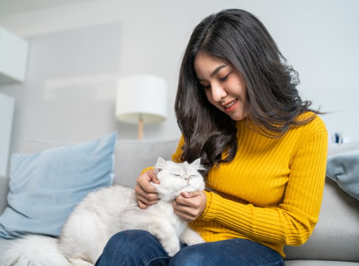 Pet Therapy con il gatto - Fonte AdobeStock