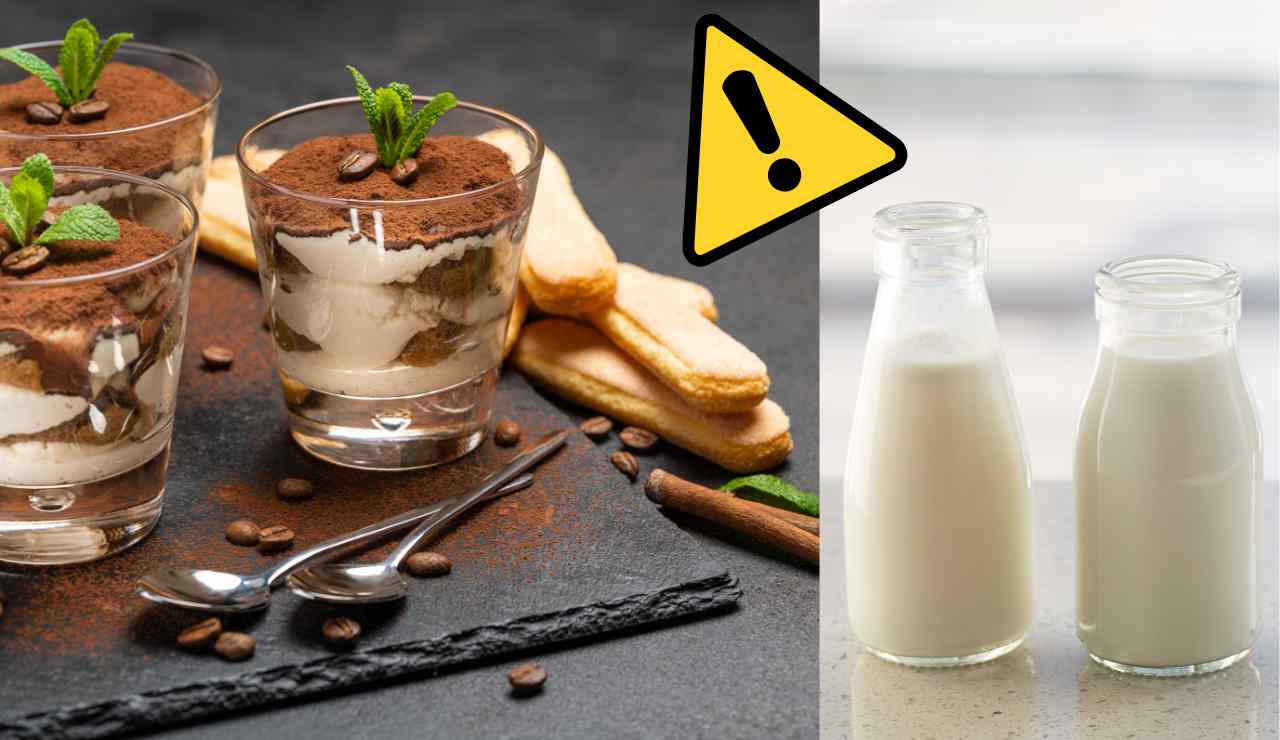Proteine del latte nel tiramisù - Fonte AdobeStock