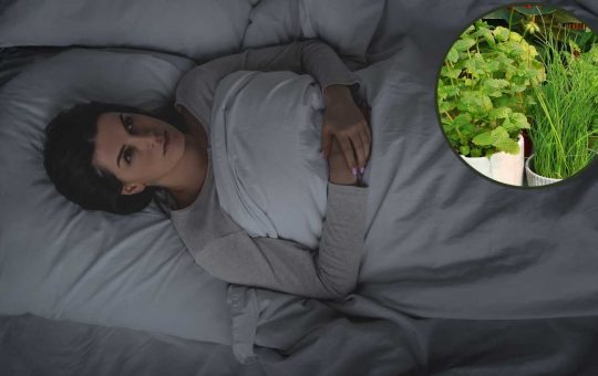 Rimedio naturale per l'insonnia - Fonte AdobeStock