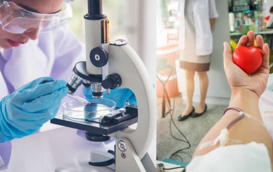 Sangue sintetico per le trasfusioni - Fonte AdobeStock