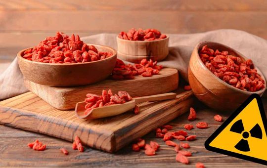 Bacche di Goji - Fonte AdobeStock