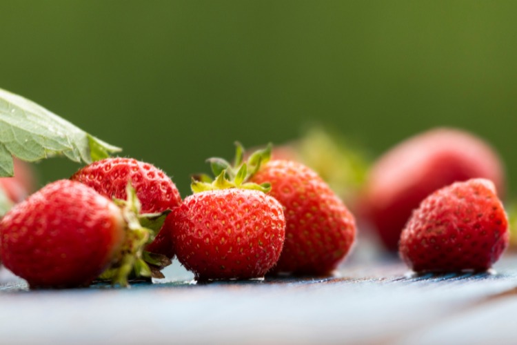 Non comprare le fragole colme di pesticidi | Fonte: Canva Pro 