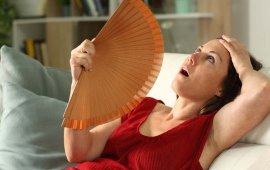 Stress da caldo: come comportarsi con le temperature così alte | Fonte: Canva