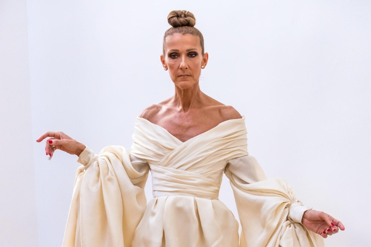 Céline Dion ha annullato il suo tour | Fonte: Ansa Foto