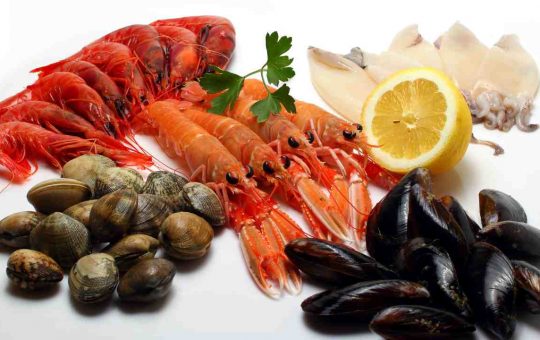 Cozze e molluschi: evita l'intossicazione | Fonte: Canva