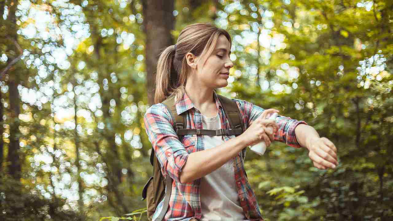 Gli antizanzare posso essere tossici per il tuo animale domestico | Fonte: Canva