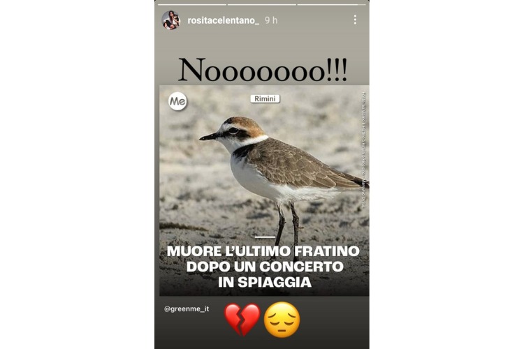 Rosita Celentano e il suo grido disperato | Fonte: Instagram